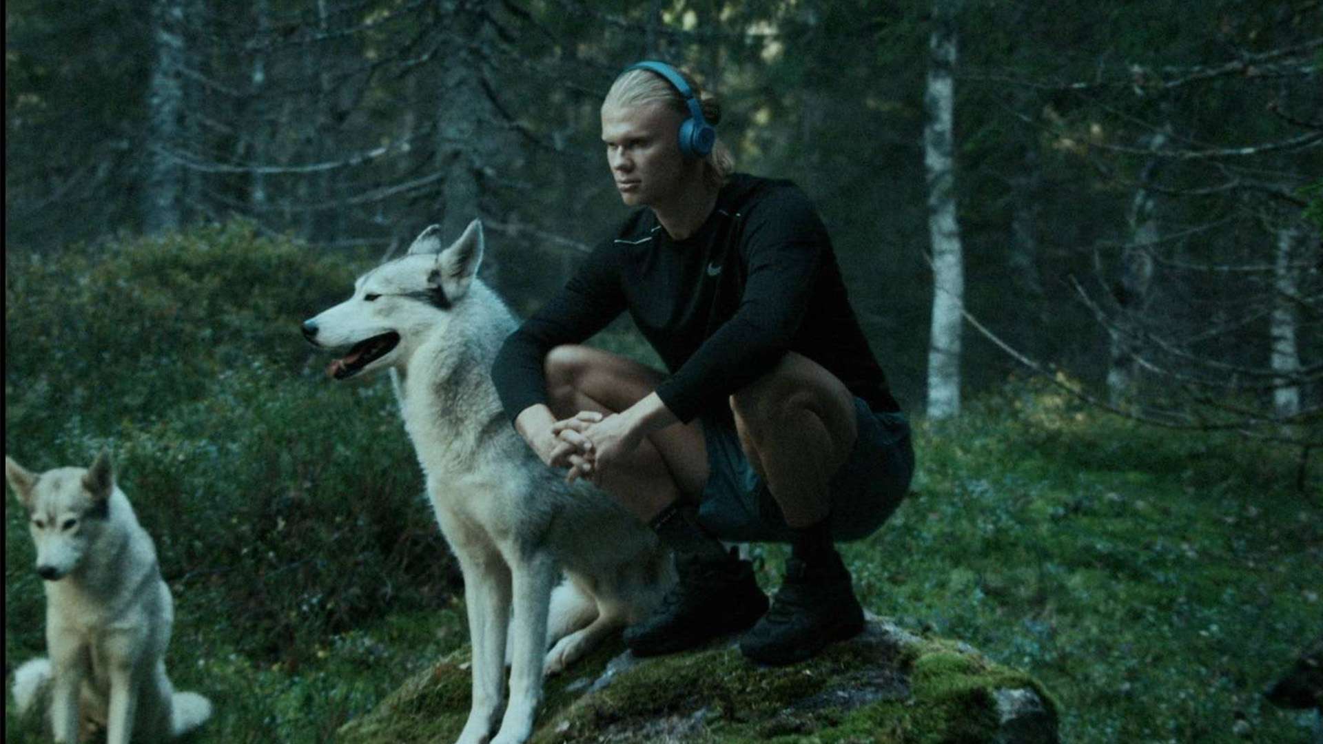 诺丁汉森林 诺丁汉森林