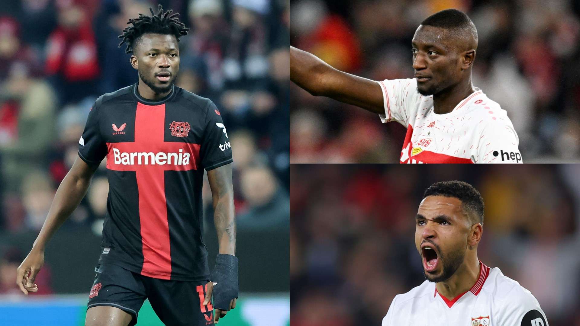 维利亚后 维利亚后